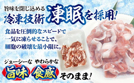 国産豚肉 瑞浪ボーノポーク 小間切れ 2.4kg (300g×8P)  [AZCW034] 国産