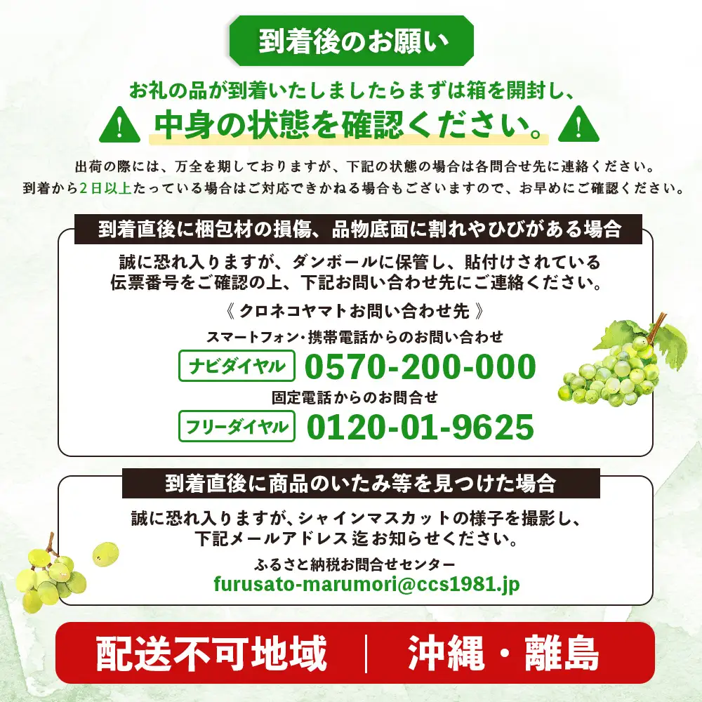 【先行予約】《2026年9月下旬～11月下旬出荷》 宮城県丸森町産 シャインマスカット　2房(1房 600g以上)【4800302】