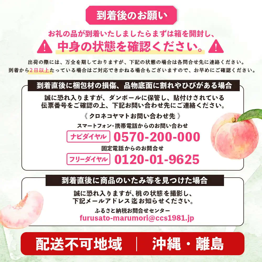 【先行予約】《7月中旬～9月中旬出荷》 宮城県丸森町産 桃 5～8玉（約2kg）【4800401】
