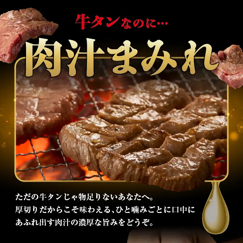 【定期便隔月3回】訳あり 厚切り塩だれ牛タン500g_牛タン