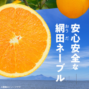村田果樹園 網田ネーブルと不知火の詰め合わせ 約3kg _U101-0012
