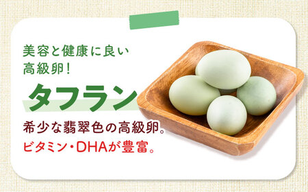 【全3回定期便】安田養鶏場の卵 3種セット しおさい アトムくん タフラン 30個入り（各10個入り） 横須賀市 産地直送 割れ保証付き たまご 黄身 濃厚 卵 玉子 タマゴ 鶏卵 【安田養鶏場】[AKHN011]