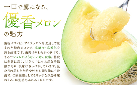 【2027年先行予約】メロン 優香メロン 約2kg × 2玉 贈答用 専用箱 ギフト フルーツ 《2027年4月中旬-4月下旬頃出荷》西川農園 熊本県 荒尾市 希少メロン 果物 熊本県産