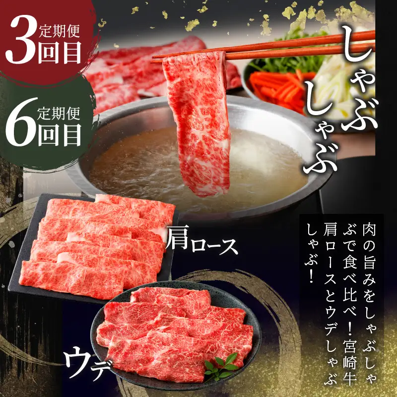 6か月お楽しみ定期便『宮崎牛よくばりセット』総重量4.8kg 肉 牛 牛肉 おかず 国産_T030-1846