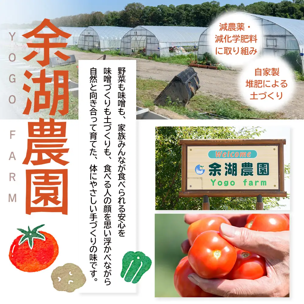 自家製味噌　700g×2パック【31001501】