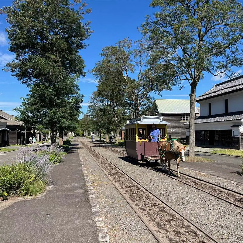 歴史と文化の北海道3館共通券 一般1名様分と北海道地域限定旅行クーポン15,000円分（Eメール発行） 人気 おすすめ 利用券 チケット F6S-521