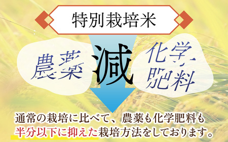 【先行予約】【6ヶ月連続お届け】【令和8年産 新米】南条米 特別栽培米コシヒカリ 真空パック 玄米 10kg(5kg×2袋)×6ヶ月 (計60kg) 福井 甘味