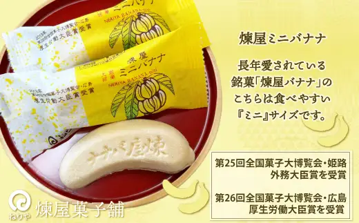 煉屋チョコバナナモナカと煉屋ミニバナナの食べ比べセット　各6個　60P5201【 煉屋菓子舗】