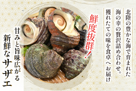 牡蠣 サザエ 各5個 水揚げ直送セット