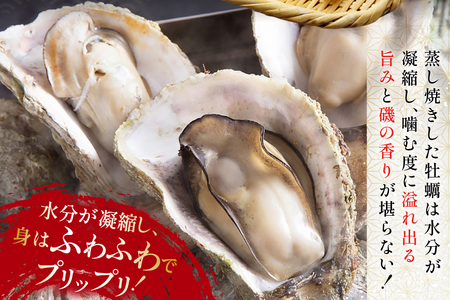 北陸産 岩牡蠣 10個 カンカン焼き セット