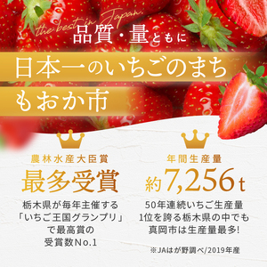 【2027年先行予約】真岡市産 赤い宝石「とちあいか」いちご イチゴ 選べる 1080g （CN)