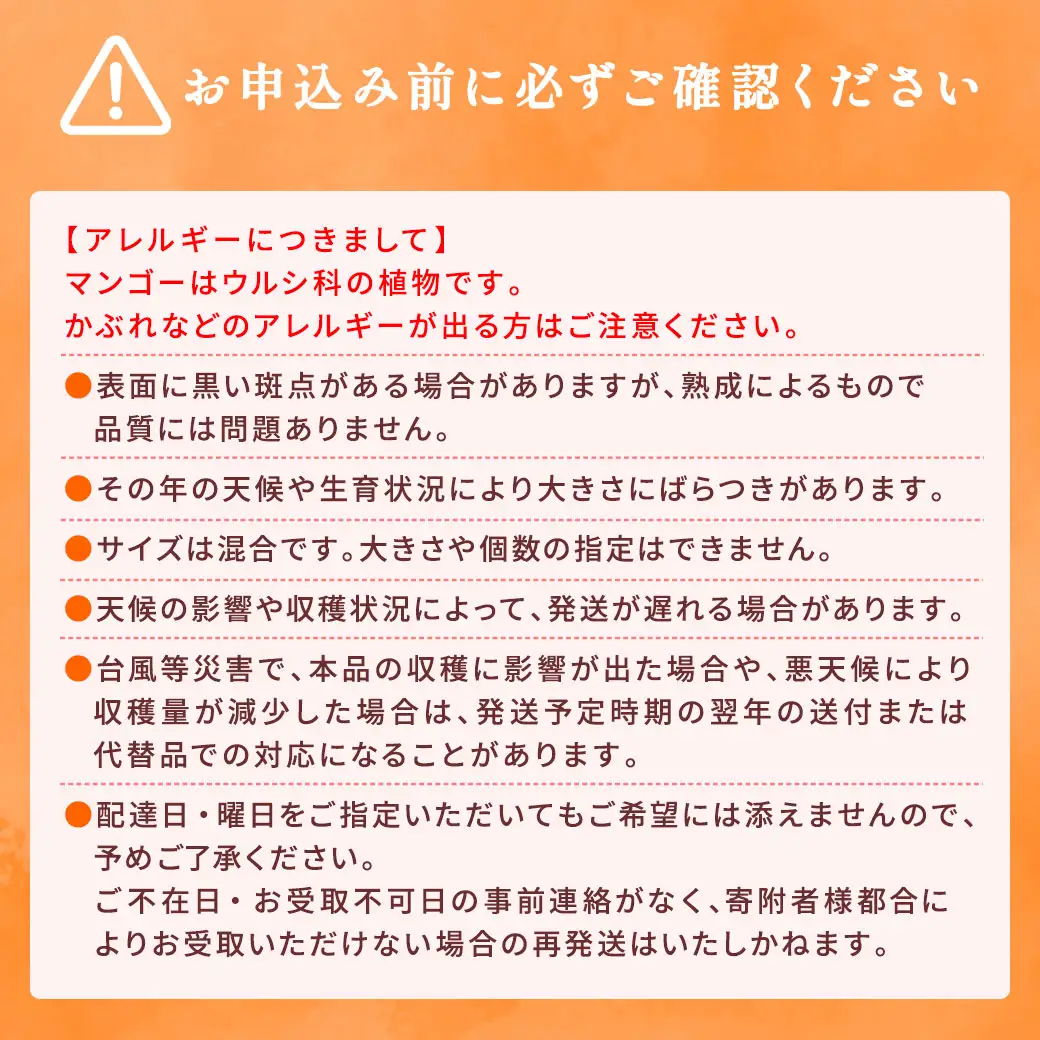 【2026年7月～9月発送】今が旬！ 完熟 アップル マンゴー ミニサイズ 1kg（8～10玉）モトキ農園 鹿児島県 奄美大島 宇検村 南国 マンゴー フルーツ 果物