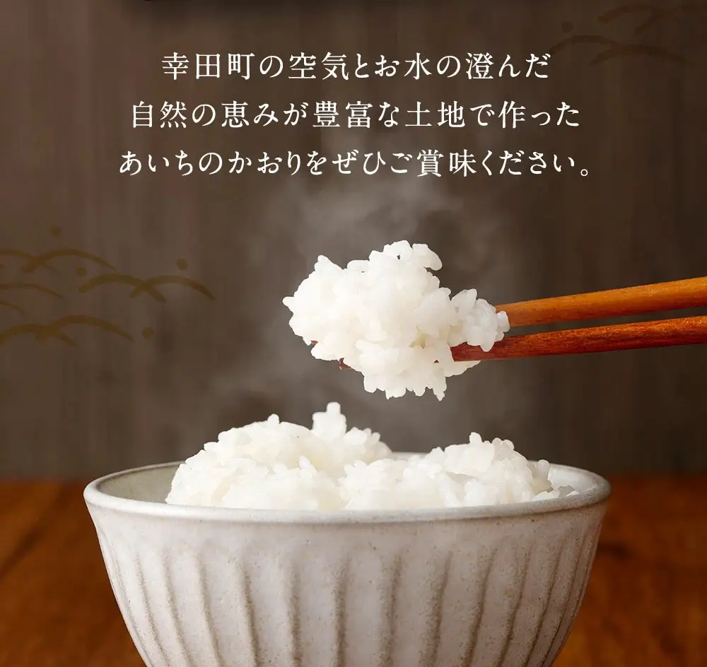 【3カ月定期便】幸せな田んぼのある町のお米｢幸田町｣産 あいちのかおり 白米 5kg ◇ ｜ お米 米 白米 精米 ご飯 ごはん 定期便