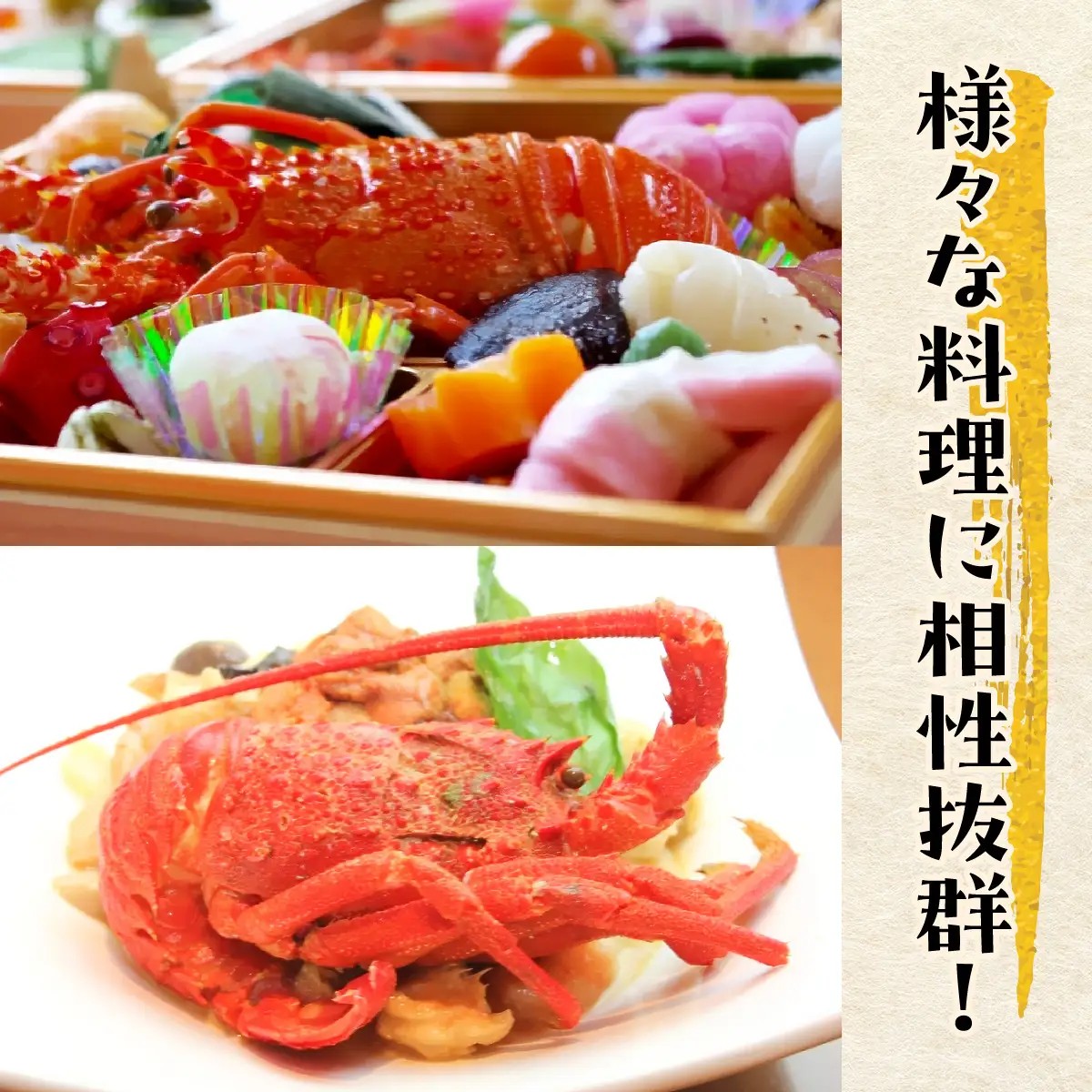 G111 冷凍生伊勢えびB　ONJA021