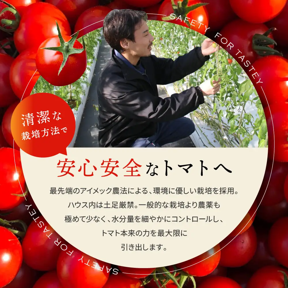 出雲の國からの贈り物～トマトを超えた超トマト２kg
