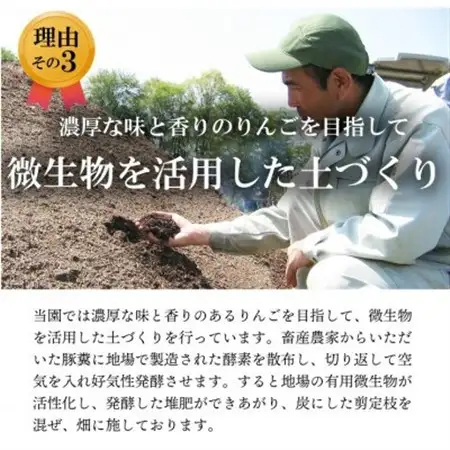 【南信州あじさい農園】葉とらずりんご(グラニースミス)約5kg【1593237】