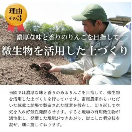 【南信州あじさい農園】葉とらずりんご(グラニースミス)約10kg【1593254】