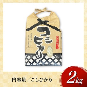 【令和8年産】村井農園産こしひかり（精米）2kg 【 米 お米 白米 精米 こしひかり 国産 宮崎県産 おにぎり 】