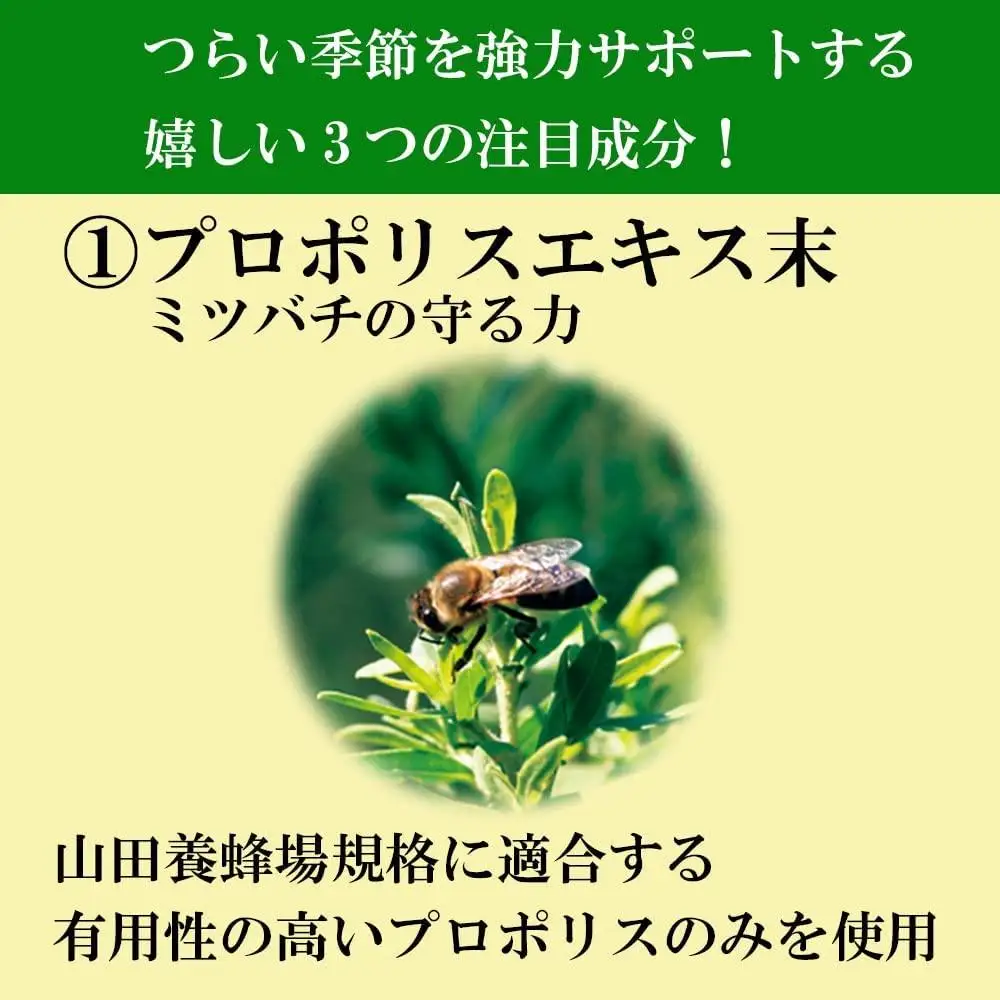 花粉ケアＥＸ（11177）【006-a091】【山田養蜂場】