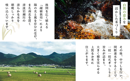 ＜令和8年産 岩瀬川清流米 コシヒカリ 10kg＞ 10キロ こしひかり お米 コメ こめ 白米 精米 ご飯 穀物 鮮度 特産品 愛媛県産 西予市産 宇和町産 OTSUKAFARM 愛媛県 西予市 【常温】『2026年9月下旬から順次出荷予定』UOF0003