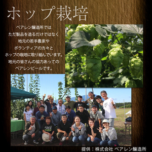 ベアレンビール ふるさと納税限定 SHIZUKU PILS 330ml 24本 ／ 岩手県産 ホップ 使用 酒 お酒 ビール クラフトビール 地ビール 瓶 瓶ビール ２４本 ベアレン ラガー ピルスナー 人気 セット 国産 国内製造 ギフト プチギフト プレゼント 家庭用 自宅用 おすすめ