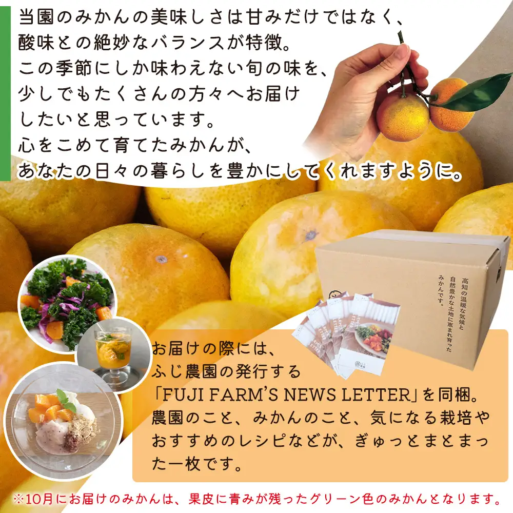 【2026年10月以降順次配送分】【特別栽培みかん】ふじ農園の露地みかん 贈答用 10kg (2S～M) 特別栽培 果物 フルーツ fn-0011