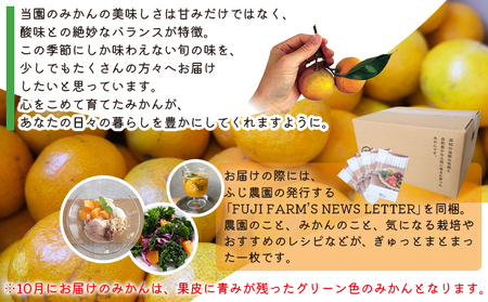 【2026年10月以降順次配送分】ふじ農園の露地みかん 訳あり品 10kg (2S～M)【みかん みかん みかん みかん みかん】 fn-0014