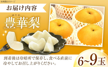 【先行予約】豊華梨 6-9玉入 BKAD037 梨