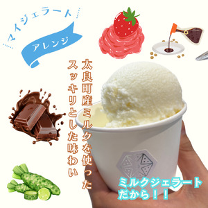 しぼりたて生乳で作った濃厚ミルクジェラート 2個セット ジェラート シャーべット アイスクリーム アイス 生乳 ミルク ジェラート クリーミー デザート 氷菓子 スイーツ 濃厚 冷凍 佐賀県 太良町 LA6