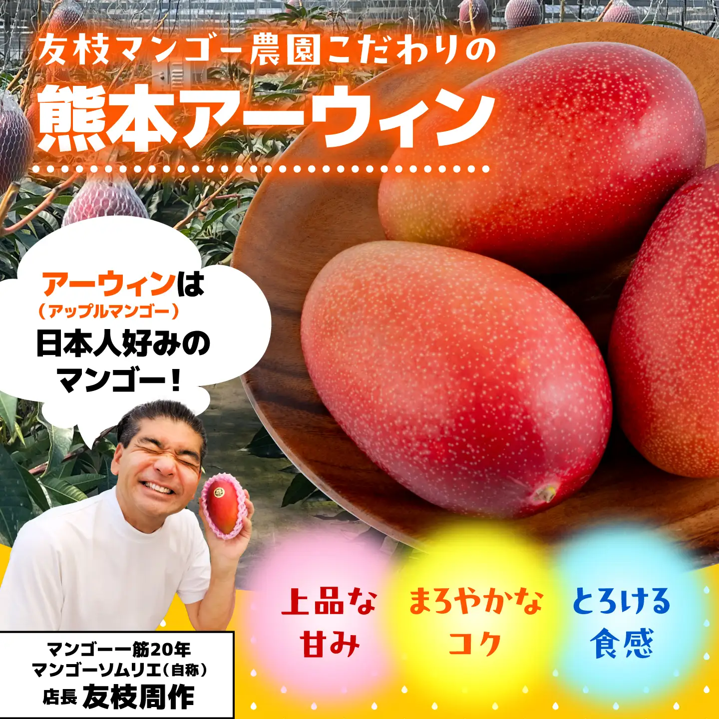 【2027年6月上旬から順次発送】友枝マンゴー農園の完熟訳ありマンゴー約2kg AYDF002