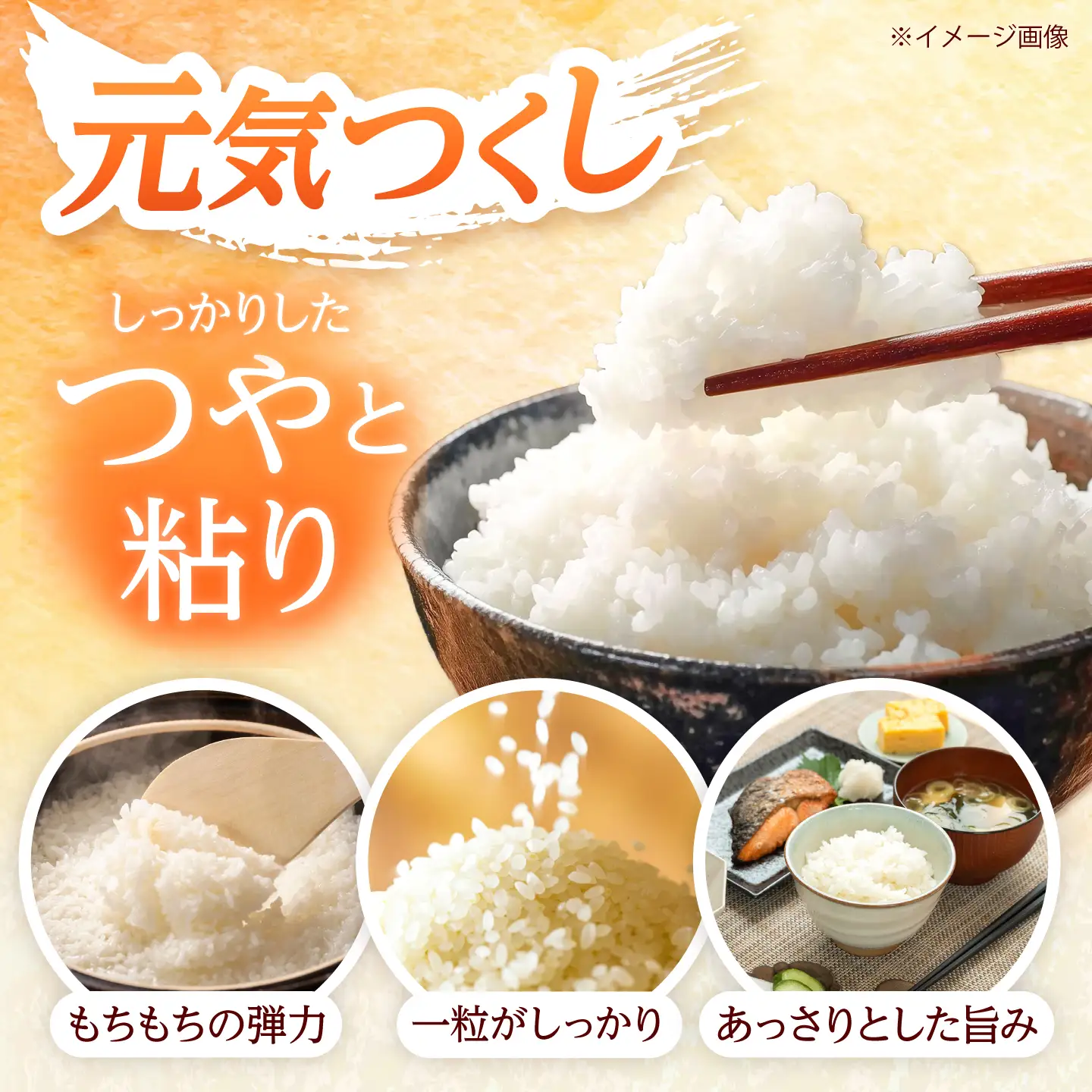 【先行予約】【令和7年産】福岡県産米食べ比べ【白米】夢つくしと元気つくしセット 計20kg[BGAA098]白米 食べ比べ 白米 食べ比べ