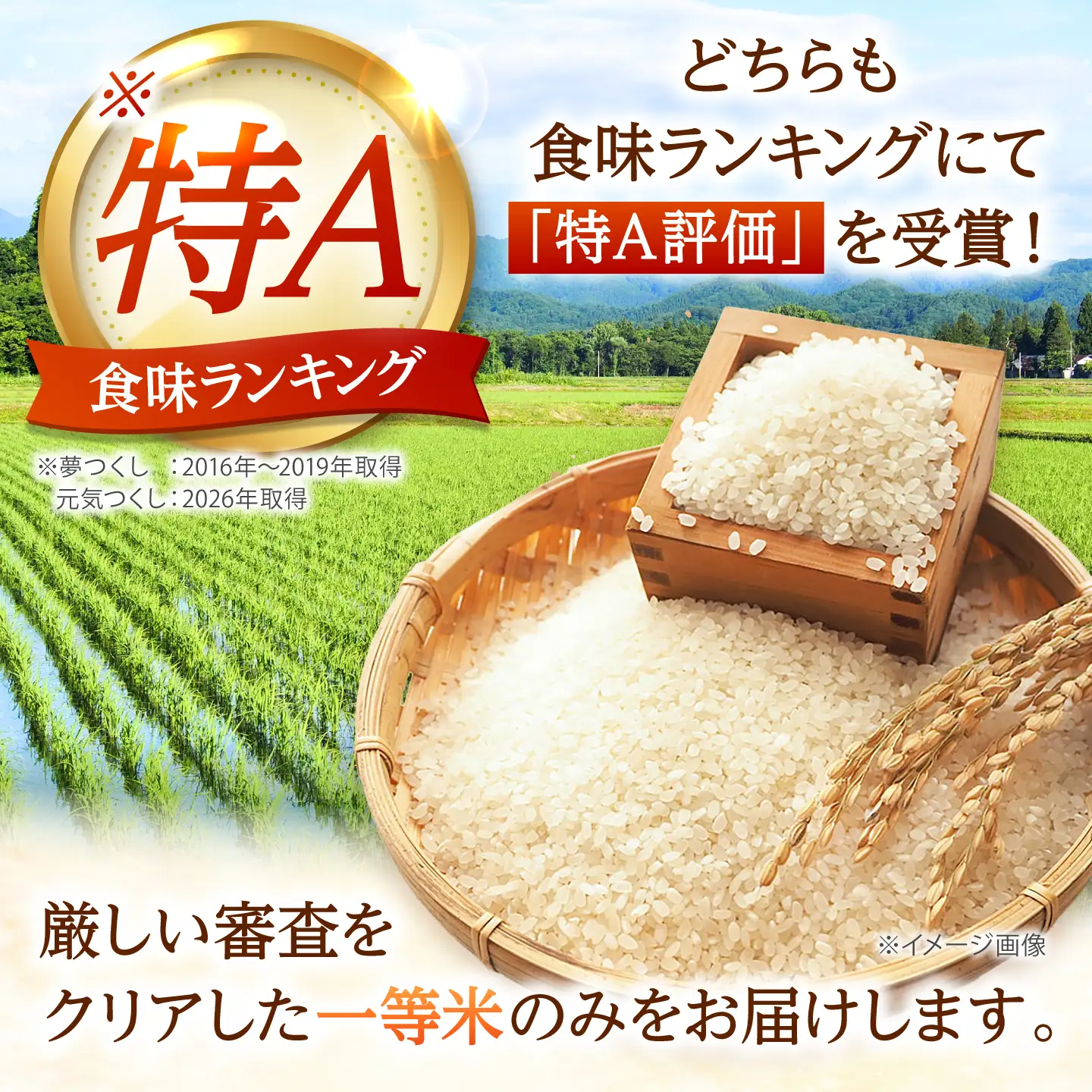 【先行予約】【令和7年産】福岡県産米食べ比べ【無洗米】夢つくしと元気つくしセット 計20kg[BGAA099]白米 食べ比べ 白米 食べ比べ