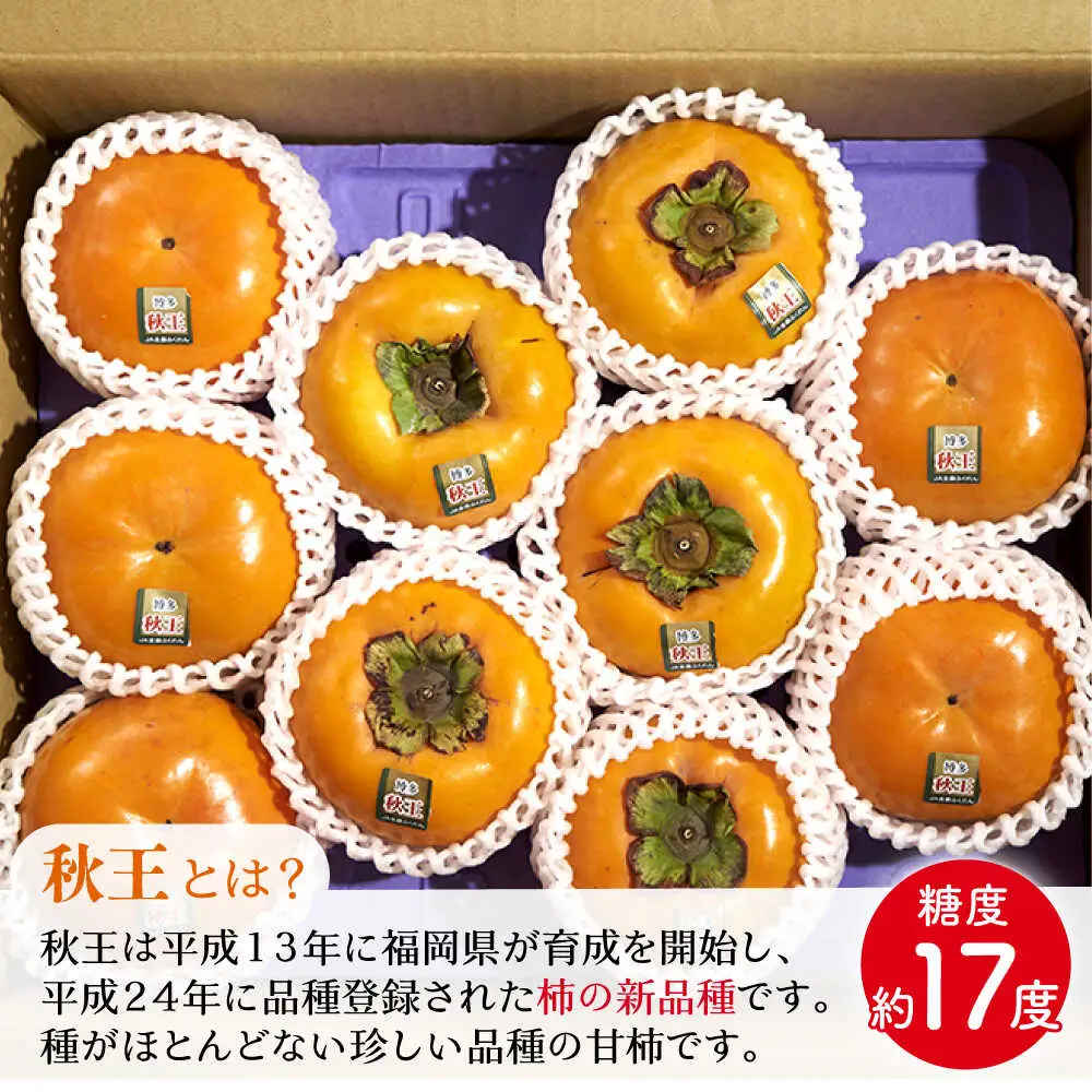 【先行予約】秋王柿約1.5kg(4-6玉) [BGAG015]種なし柿