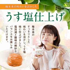 紀州南高梅「稔」20粒入_SF1028