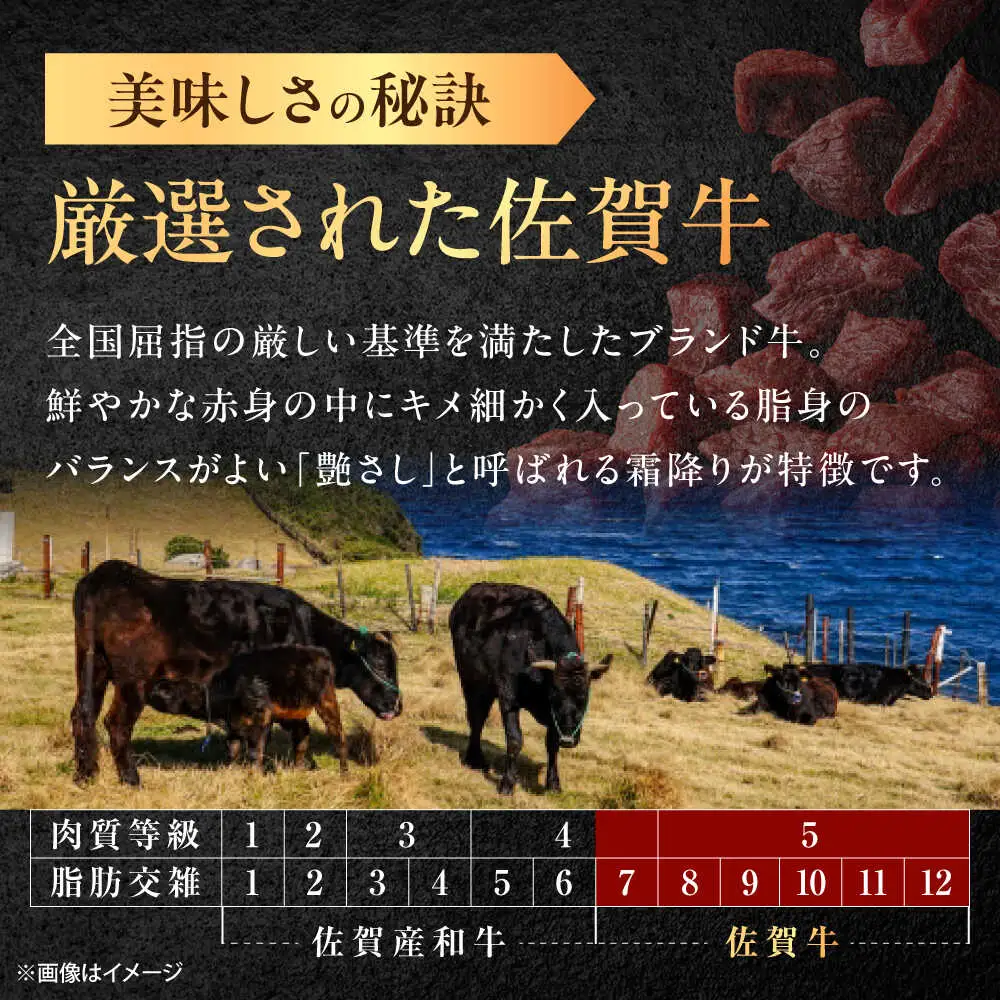 【6回定期便】佐賀牛 サイコロステーキ 500g /MKミート武雄[UEM026] サイコロステーキ
