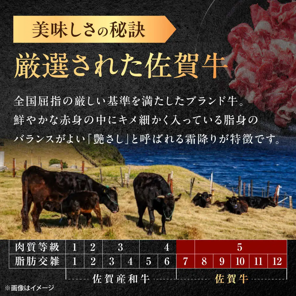 【6回定期便】佐賀牛 切り落とし 1.2kg /MKミート武雄[UEM036]
