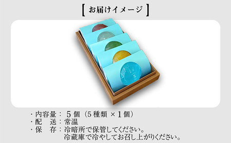 [009-a015] ジュレビレッジ 5個（5種類 × 1個）