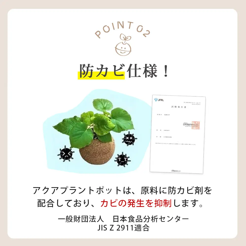 【ふるなびWEEK対象】アクアプラントポット®　玉Ｓ 植木鉢ガジュマル FN-Limited-PR（2341）
