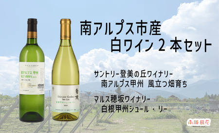 南アルプス市産甲州ワイン2本セット ALPAJ059
