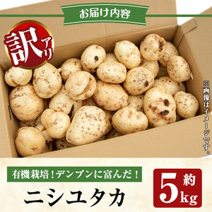 ≪訳あり≫湧水町産有機じゃがいも ニシユタカ 約5kg 国産 九州産 鹿児島産 有機野菜 有機栽培 じゃがいも ジャガイモ にしゆたか 野菜 やさい おかず 旬 わけあり 訳アリ 規格外 期間限定 数量限定 オーガニック 【そのやま農園】_y562