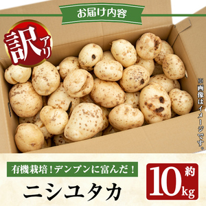 ≪訳あり≫湧水町産有機じゃがいも ニシユタカ 約10kg 国産 九州産 鹿児島産 有機野菜 有機栽培 じゃがいも ジャガイモ にしゆたか 野菜 やさい おかず 旬 わけあり 訳アリ 規格外 期間限定 数量限定 オーガニック 【そのやま農園】_y563