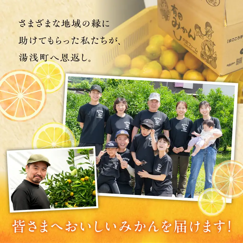 【2027年先行予約】和歌山県産　カラマンダリン　約5kg　秀品_ZE6501