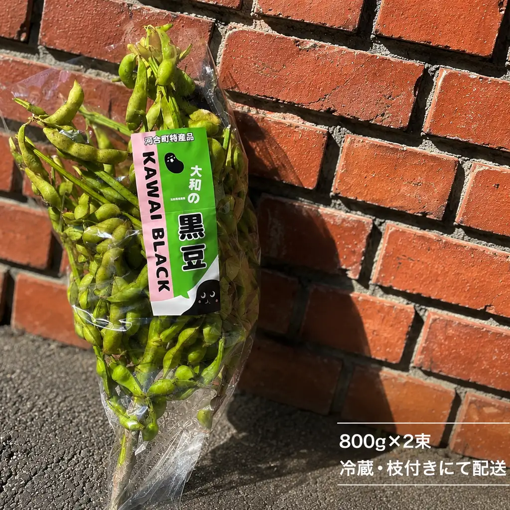 【先行予約】大和の黒豆 幻の枝豆 優品1.6kg(800g×2束) 枝豆 えだまめ