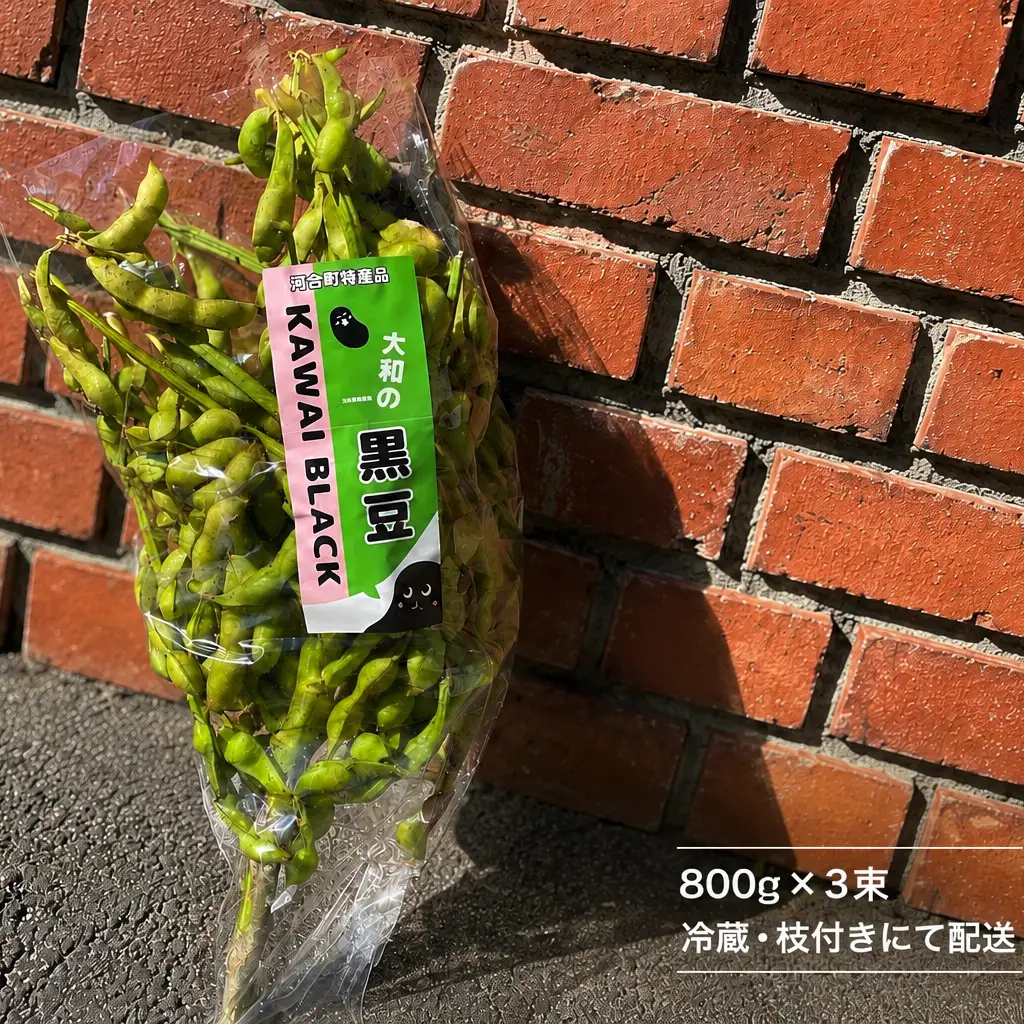 【先行予約】大和の黒豆 幻の枝豆 優品2.4kg(800g×3束) 枝豆 えだまめ