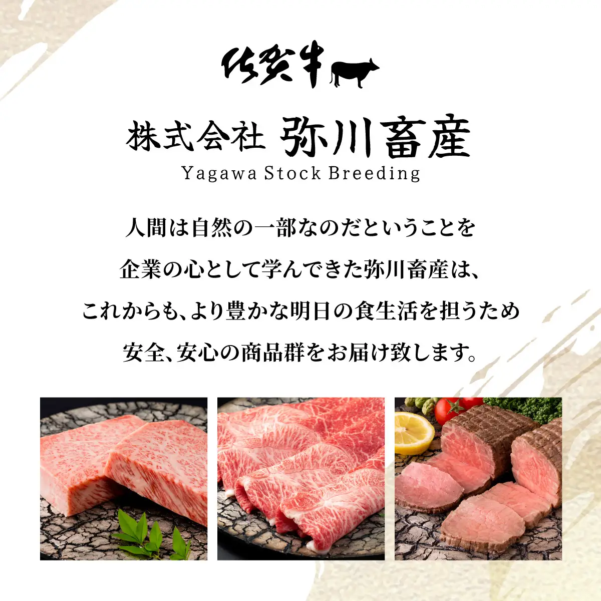 佐賀県産黒毛和牛ヒレステーキ 420g