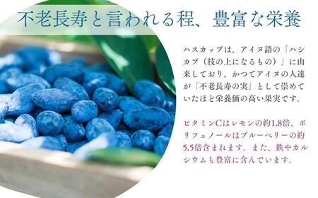 冷凍 ハスカップ 計500g [AXAB085] ハスカップ