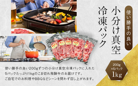 A5飛騨牛 定期便 3回 切り落とし 1kg | 定期便 HF115