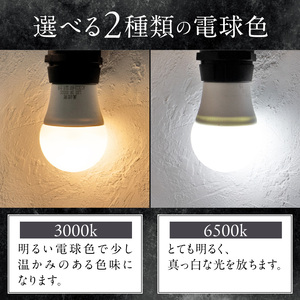 アウトドアに最適なストリングライト|Z042 アウトドア ストリングライト 選べる カラー Z042 キャンプライト 電球 ライト プラスチック 軽い 吊り下げ キャンプ 釣り 魚釣り キッチンカー イルミネーション マキタ でんらい 愛知県 小牧市 送料無料 [172C11]
