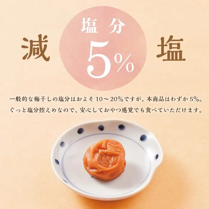 【定期便4回 2ヶ月に1回】紀州南高梅 訳あり はちみつ梅 塩分5％ 1.2kg（300g×4パック）