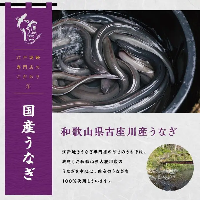 【定期便3回 毎月発送】〈うなぎ専門店やまのうち〉江戸焼き 蒲焼きと白焼き 食べ比べセット 各1尾 計2尾